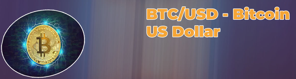 Bitcoin to usf