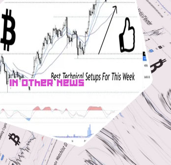 New crypto november